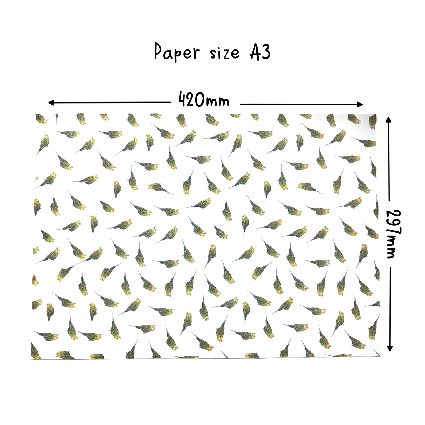 A3 Green Budgie Budgerigar Gift Wrap Paper Sheet & Tag with Pom Poms