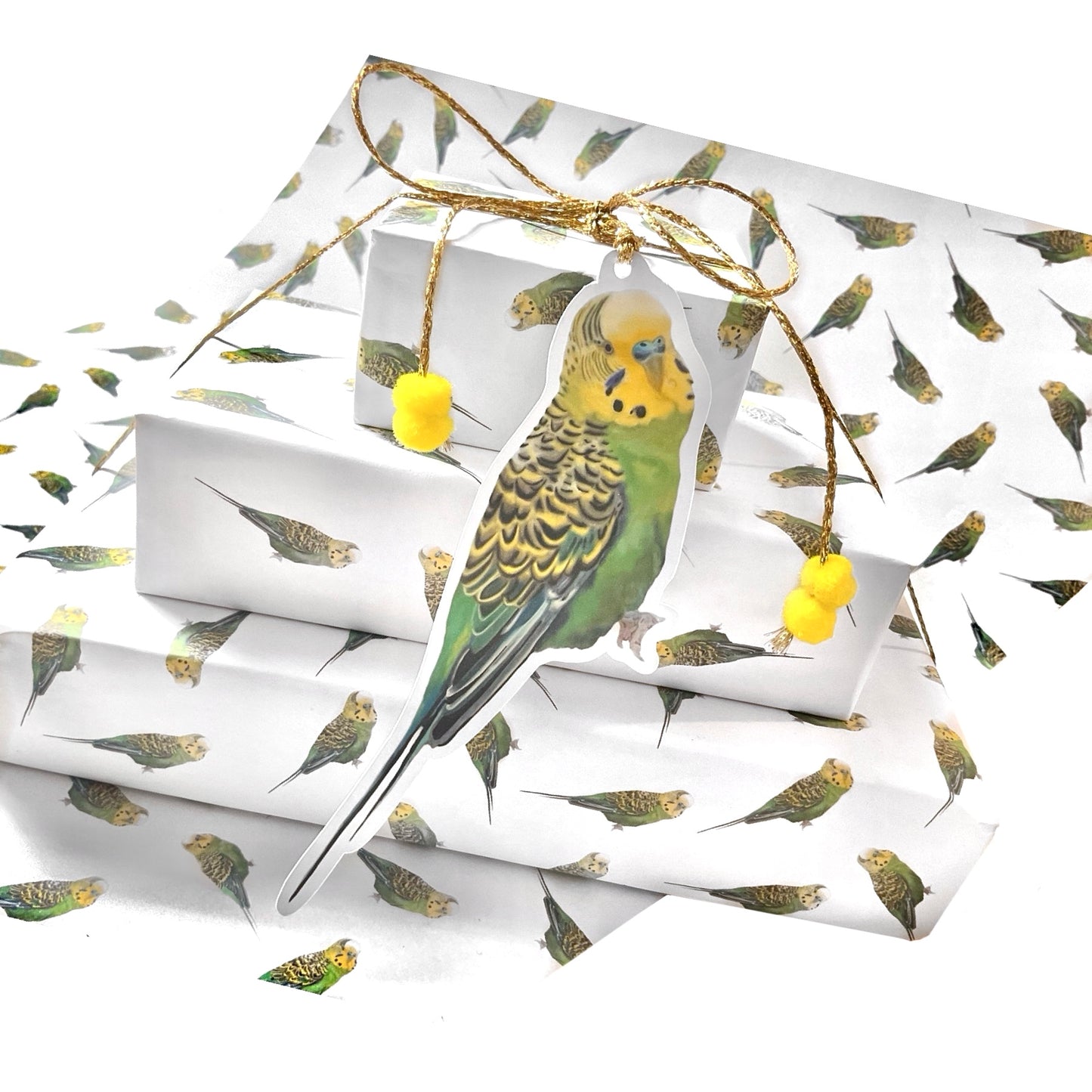 A3 Green Budgie Budgerigar Gift Wrap Paper Sheet & Tag with Pom Poms