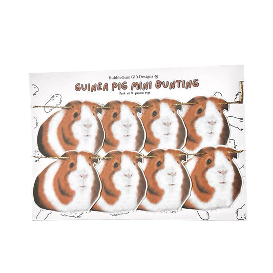 Cute Guinea Pigs Bunting – Birthday Party Décor for Pet Lovers