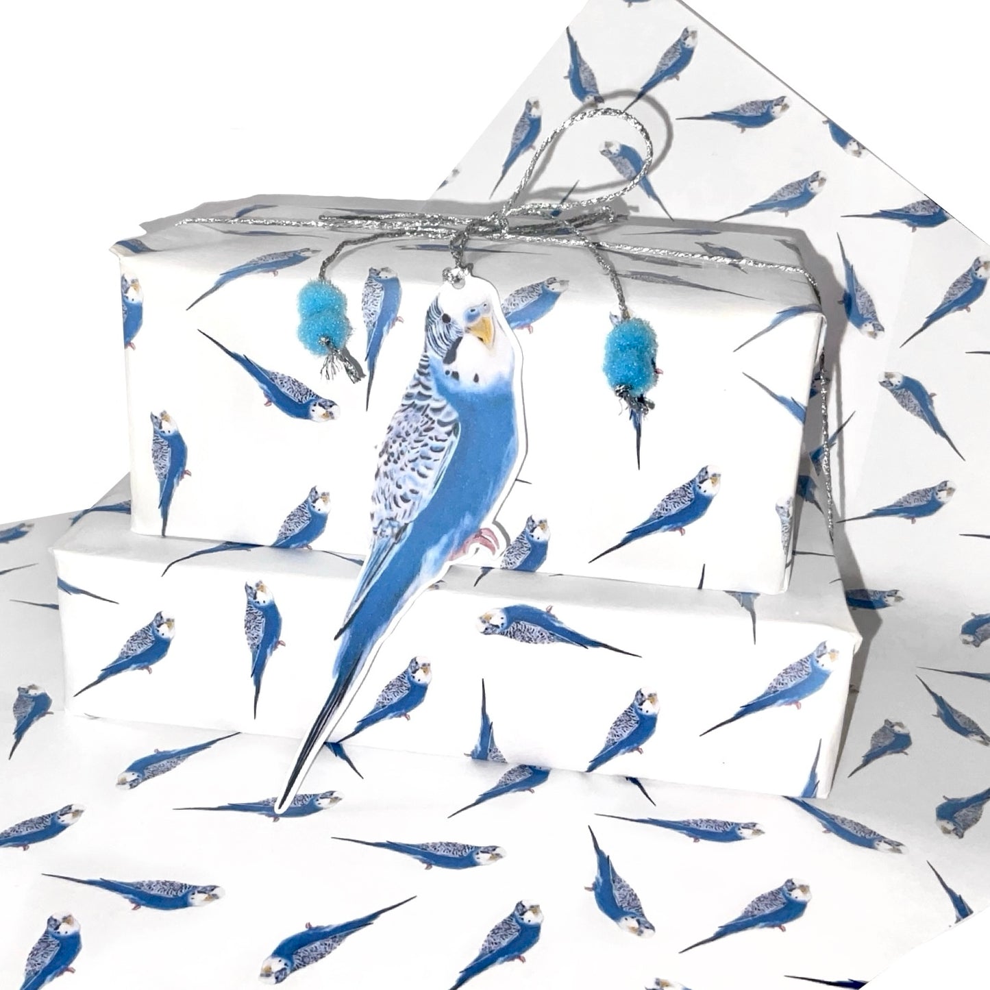 A3 Blue Budgie Budgerigar Gift Wrap Paper Sheet & Tag with Pom Poms