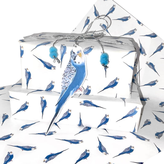 A3 Blue Budgie Budgerigar Gift Wrap Paper Sheet & Tag with Pom Poms