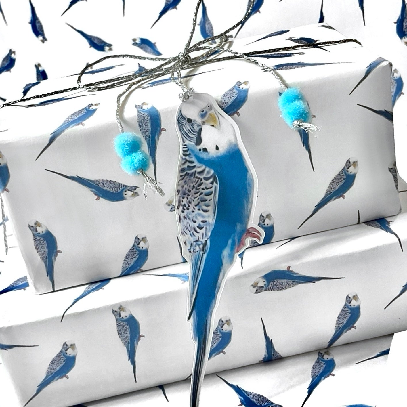 A3 Blue Budgie Budgerigar Gift Wrap Paper Sheet & Tag with Pom Poms