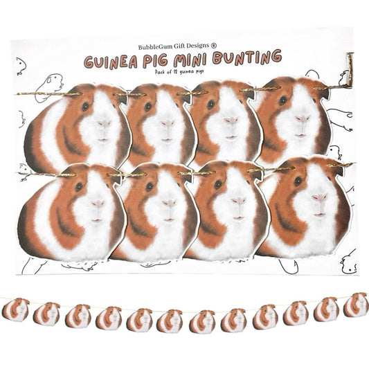 Cute Guinea Pigs Bunting – Birthday Party Décor for Pet Lovers