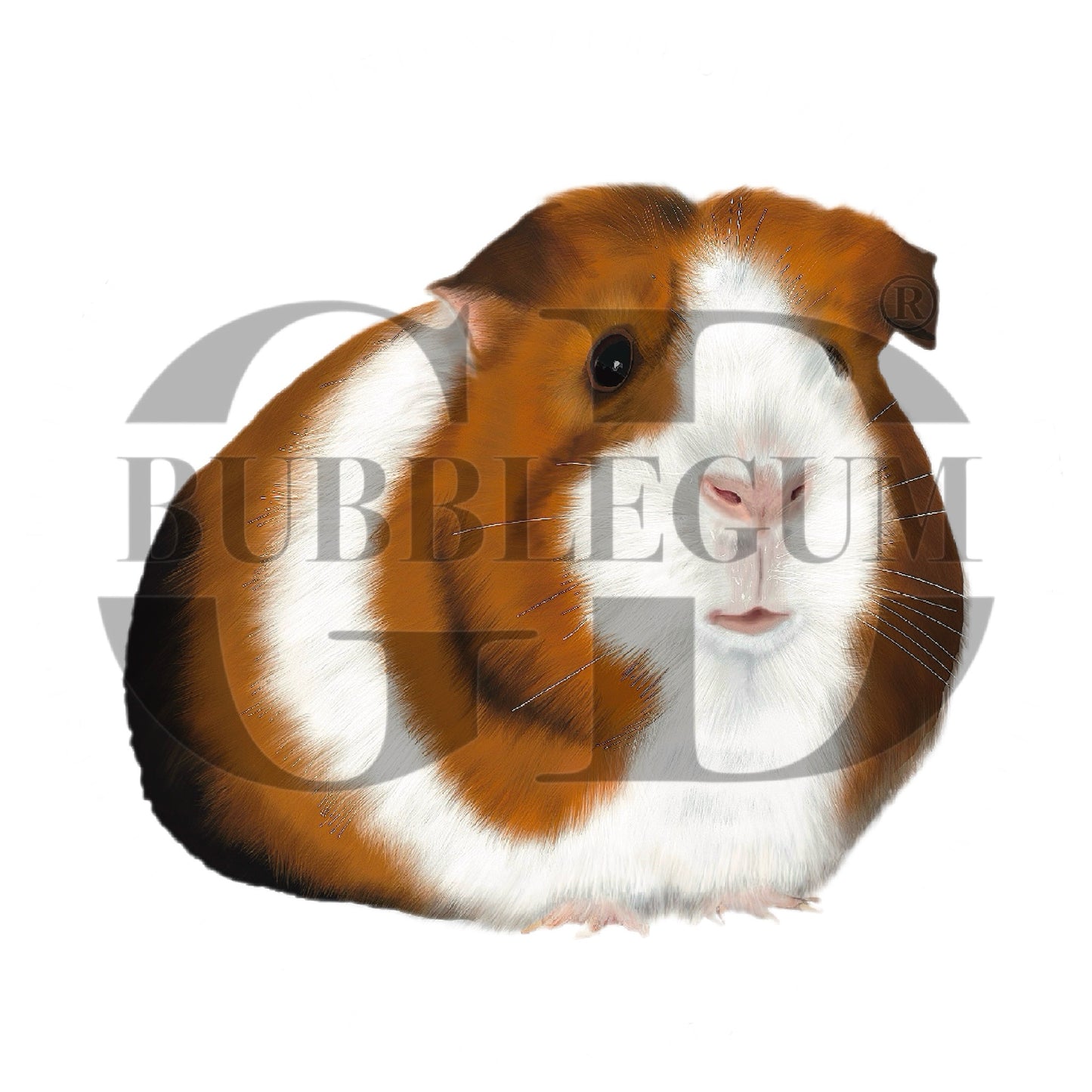 Cute Guinea Pigs Bunting – Birthday Party Décor for Pet Lovers