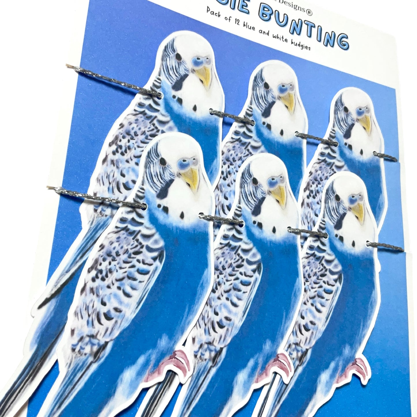 Budgie Blue Party Decorations – Parakeet Banner Garland