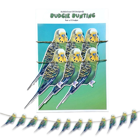 Budgie bunting green and yellow Parakeets cute kitschy pet budgie gift with gold twine long tailed feather seed eating cute birds