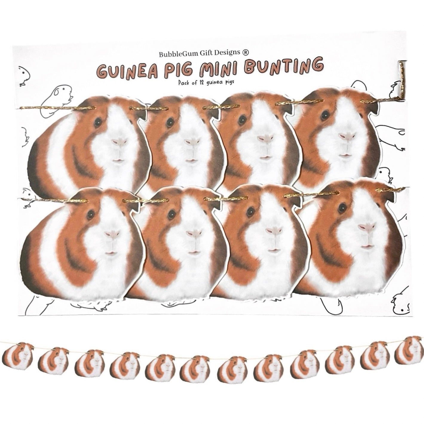 Guinea pig showy mini bunting Guinea pigs decoration for Birthday and Guinea pig party domestic cavy's so adorable Guinea pig gift