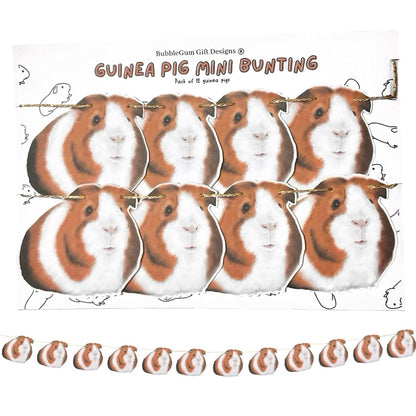 Guinea pig showy mini bunting Guinea pigs decoration for Birthday and Guinea pig party domestic cavy's so adorable Guinea pig gift