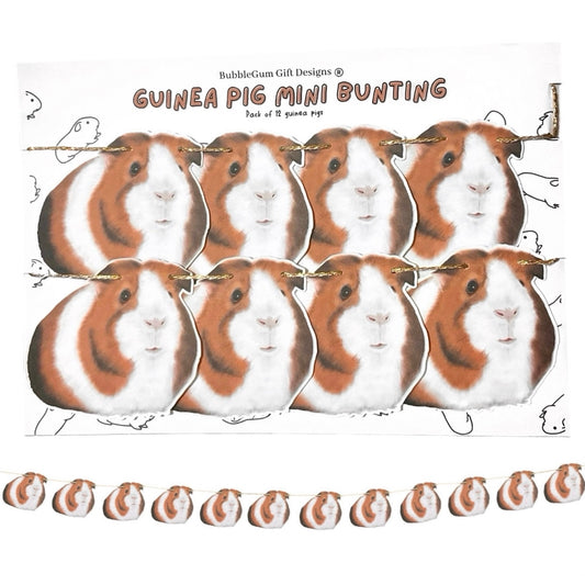 Guinea pig showy mini bunting Guinea pigs decoration for Birthday and Guinea pig party domestic cavy's so adorable Guinea pig gift