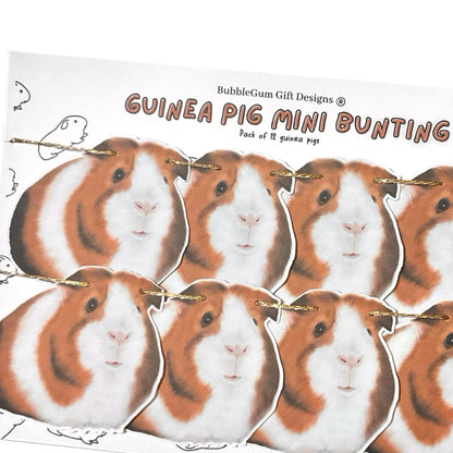 Guinea pig showy mini bunting Guinea pigs decoration for Birthday and Guinea pig party domestic cavy's so adorable Guinea pig gift