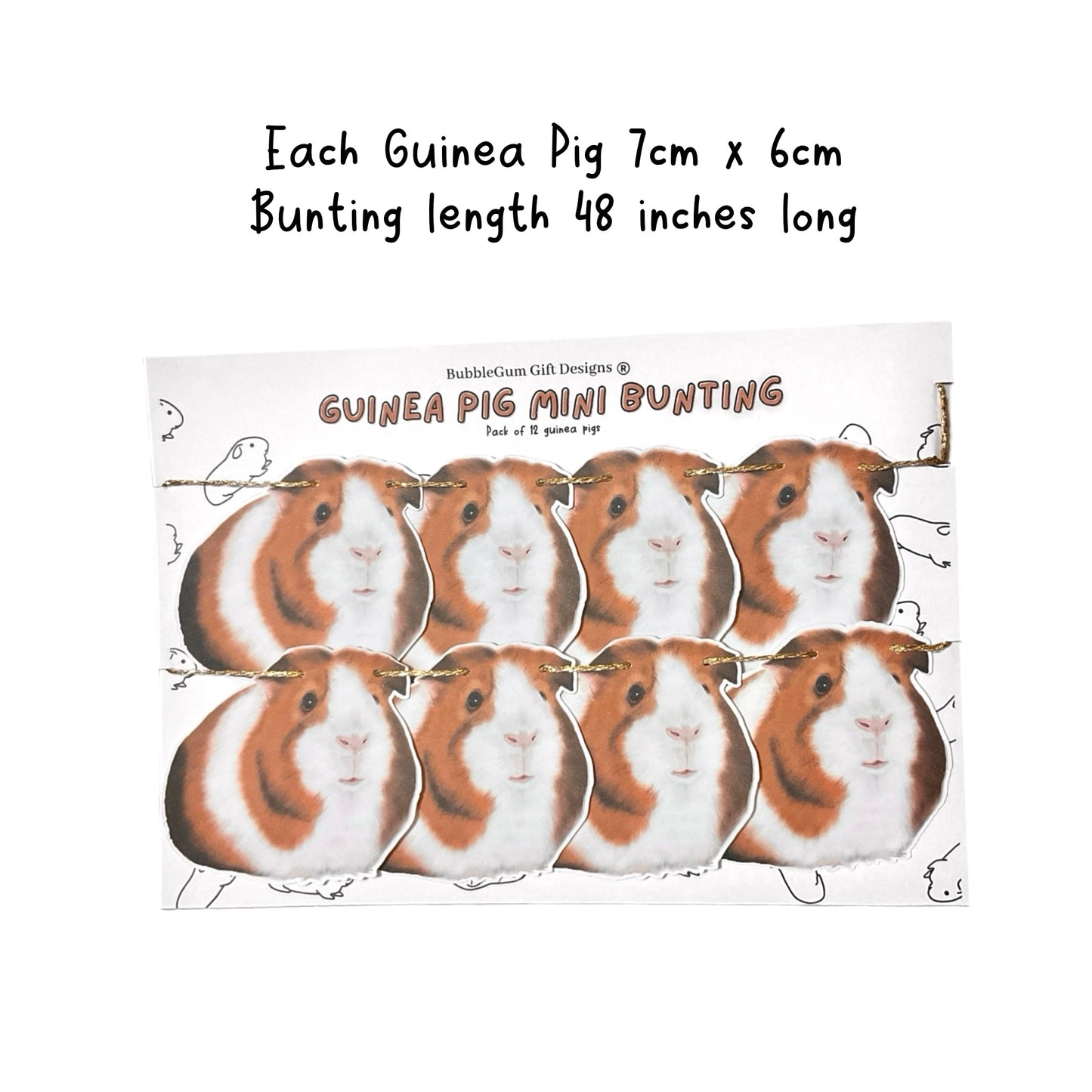 Guinea pig showy mini bunting Guinea pigs decoration for Birthday and Guinea pig party domestic cavy's so adorable Guinea pig gift