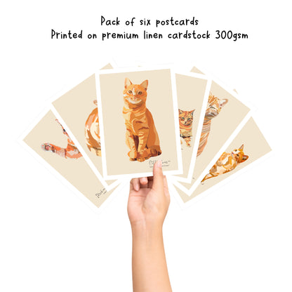 Ginger cat portrait postcards, Digitally hand drawn cat illustration postcard set, Cat artwork post cards for cat lover gift