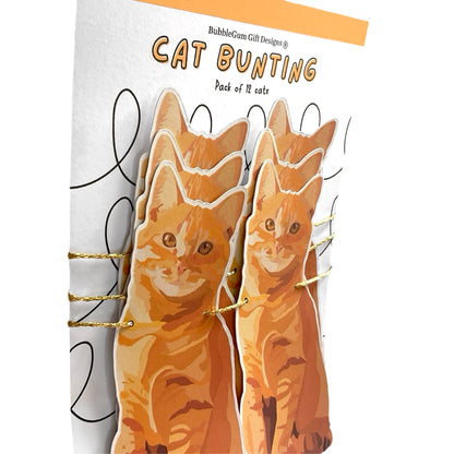 Ginger cat themed party bunting, Cute orange cat birthday decoration, 2 sizes available