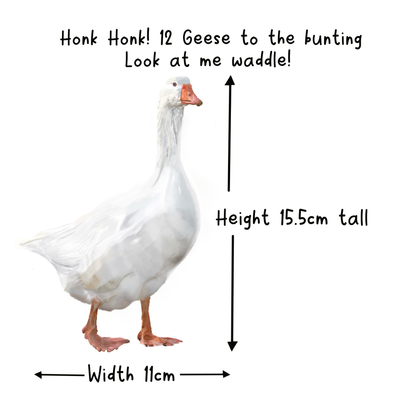 One Silly Goose Birthday Bunting Hand-Drawn White Goose Garland Farm Animal Party Decorations
