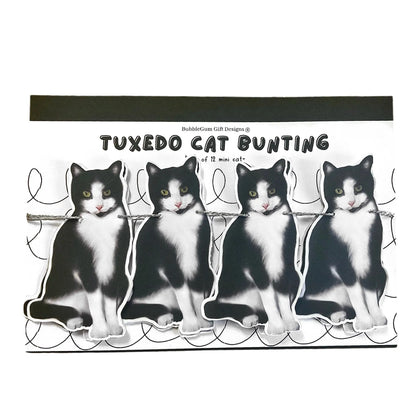 Tuxedo cat theme party banner Black and white kitty cat birthday party decorations Realistic hand drawn pet lover cat illustration