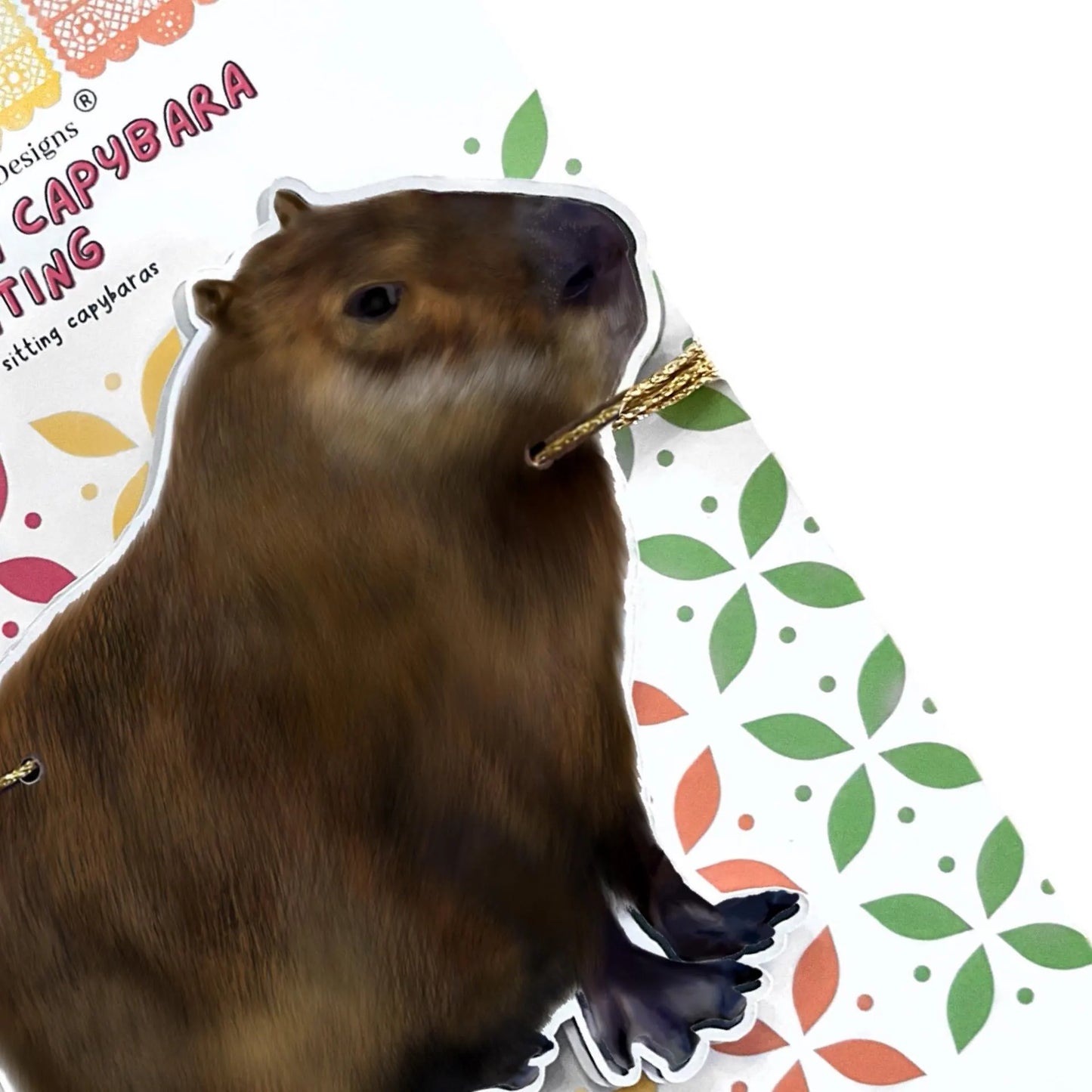 Fun capybara birthday decorations Hand drawn cute fat furry grass grazer, South American animal bunting Wild brown rodent party garland