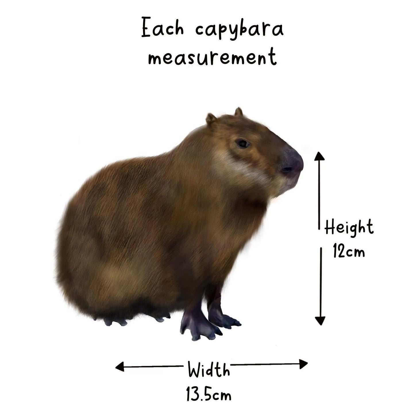 Fun capybara birthday decorations Hand drawn cute fat furry grass grazer, South American animal bunting Wild brown rodent party garland