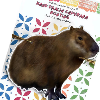 Fun capybara birthday decorations Hand drawn cute fat furry grass grazer, South American animal bunting Wild brown rodent party garland