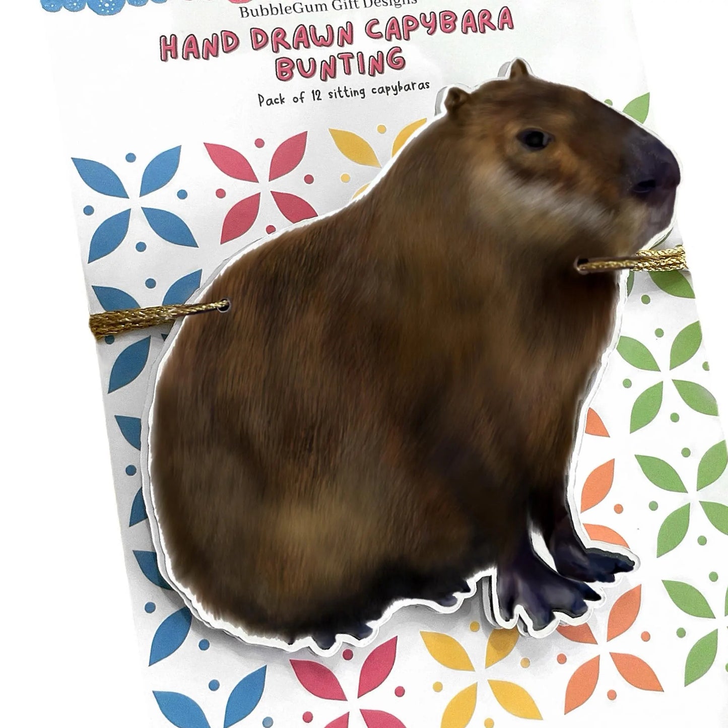 Fun capybara birthday decorations Hand drawn cute fat furry grass grazer, South American animal bunting Wild brown rodent party garland