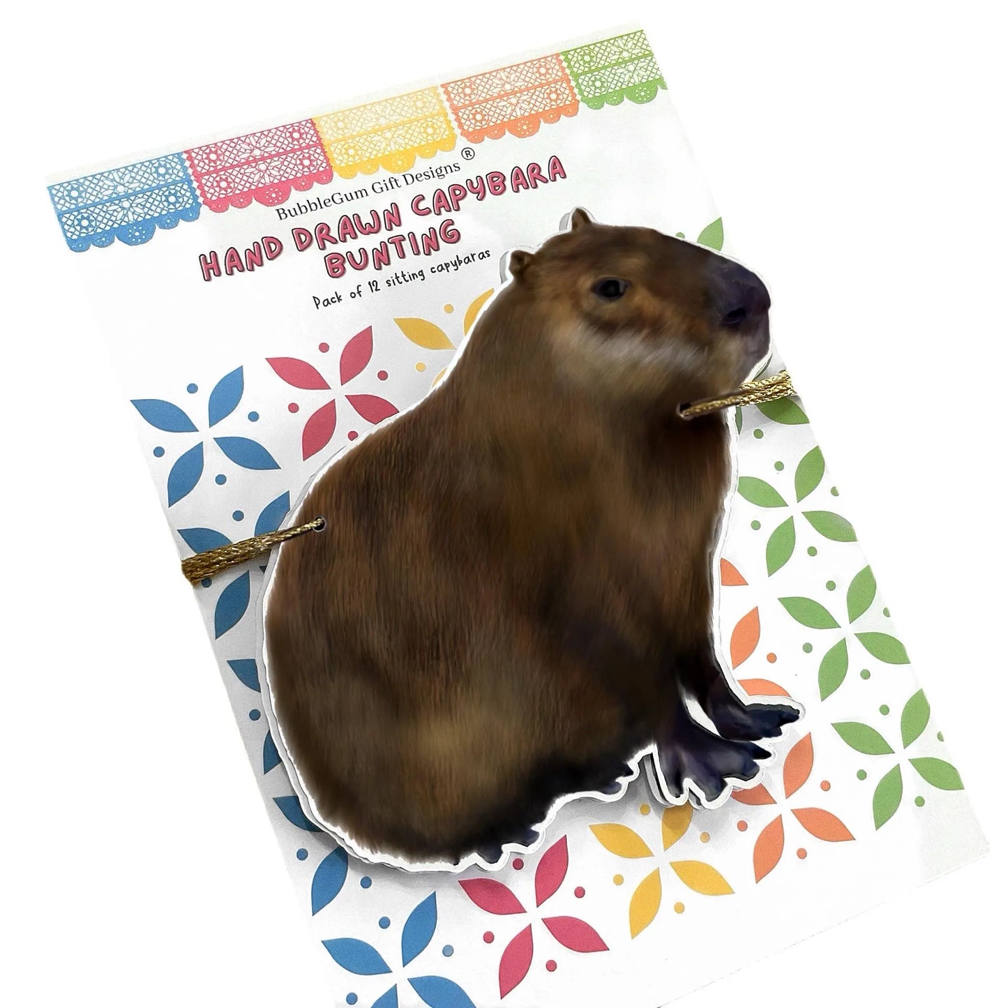 Fun capybara birthday decorations Hand drawn cute fat furry grass grazer, South American animal bunting Wild brown rodent party garland