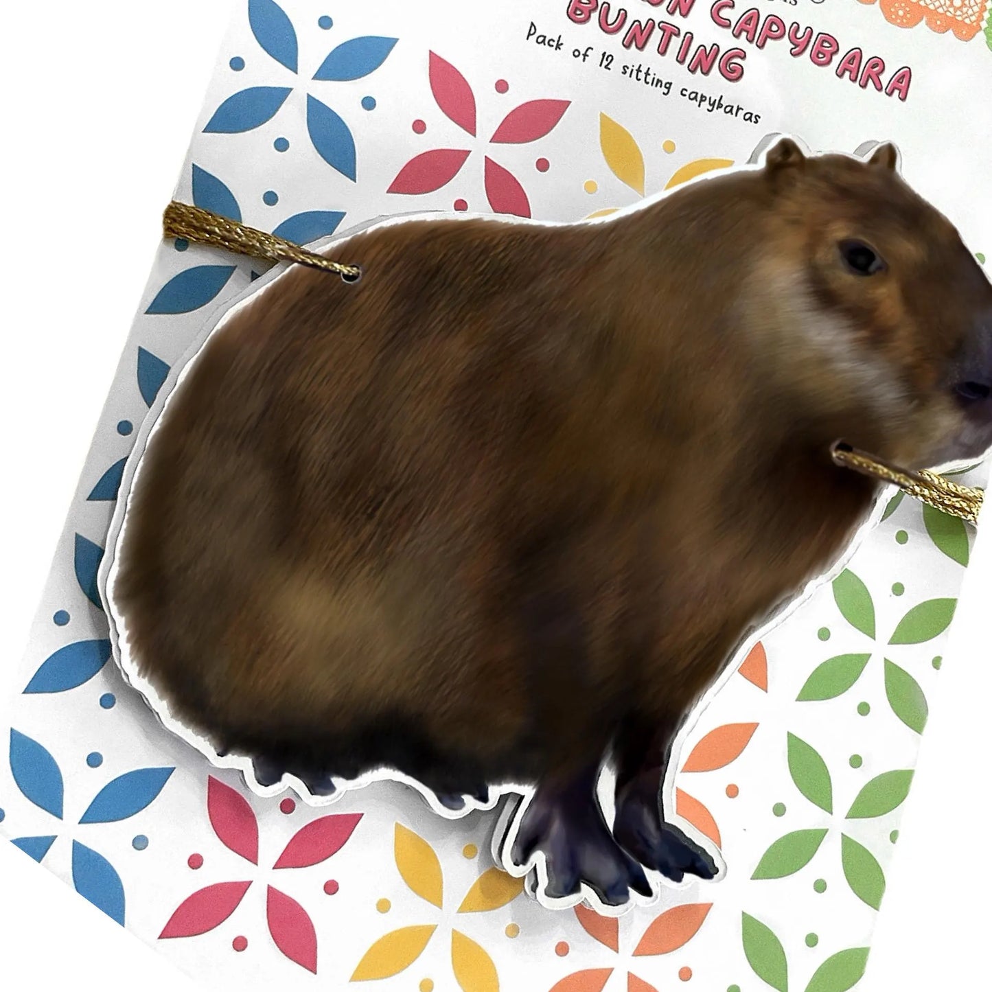 Fun capybara birthday decorations Hand drawn cute fat furry grass grazer, South American animal bunting Wild brown rodent party garland